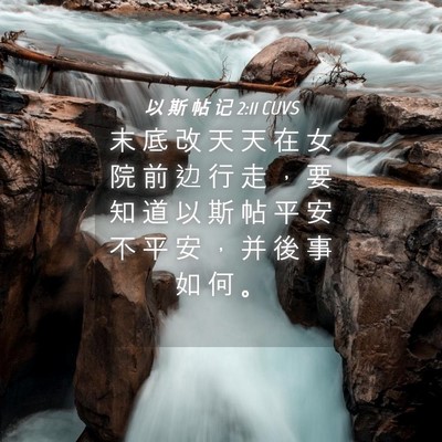 Picture 04 - 以 斯 帖 记 2:11 CUVS - 末 底 改 天 天 在 女 院 前 边 行 走 - Bible Verse Picture