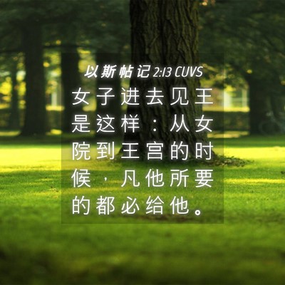Picture 04 - 以 斯 帖 记 2:13 CUVS - 女 子 进 去 见 王 是 这 样 ： 从 女 - Bible Verse Picture