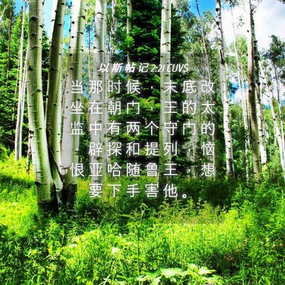Picture 04 - 以 斯 帖 记 2:21 CUVS - 当 那 时 候 ， 末 底 改 坐 在 朝 门 - Bible Verse Picture