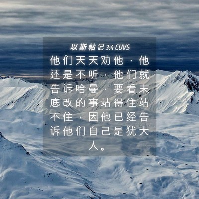 Picture 04 - 以 斯 帖 记 3:4 CUVS - 他 们 天 天 劝 他 ， 他 还 是 不 听 - Bible Verse Picture