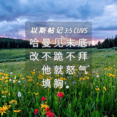Picture 04 - 以 斯 帖 记 3:5 CUVS - 哈 曼 见 末 底 改 不 跪 不 拜 ， 他 - Bible Verse Picture