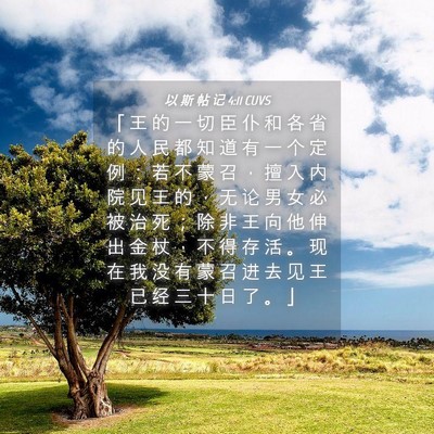 Picture 04 - 以 斯 帖 记 4:11 CUVS - 「 王 的 一 切 臣 仆 和 各 省 的 人 - Bible Verse Picture