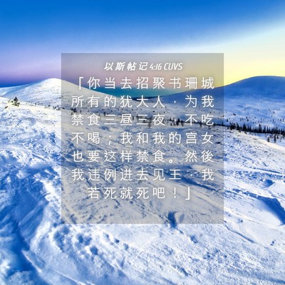 Picture 04 - 以 斯 帖 记 4:16 CUVS - 「 你 当 去 招 聚 书 珊 城 所 有 的 - Bible Verse Picture