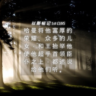 Picture 04 - 以 斯 帖 记 5:11 CUVS - 哈 曼 将 他 富 厚 的 荣 耀 、 众 多 - Bible Verse Picture