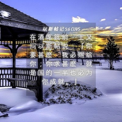 Picture 04 - 以 斯 帖 记 5:6 CUVS - 在 酒 席 筵 前 ， 王 又 问 以 斯 帖 - Bible Verse Picture
