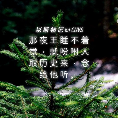 Picture 04 - 以 斯 帖 记 6:1 CUVS - 那 夜 王 睡 不 着 觉 ， 就 吩 咐 人 - Bible Verse Picture