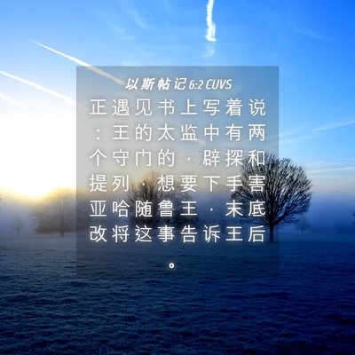 Picture 04 - 以 斯 帖 记 6:2 CUVS - 正 遇 见 书 上 写 着 说 ： 王 的 太 - Bible Verse Picture