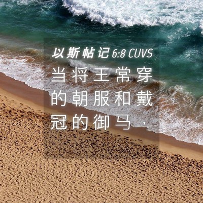 Picture 04 - 以 斯 帖 记 6:8 CUVS - 当 将 王 常 穿 的 朝 服 和 戴 冠 的 - Bible Verse Picture