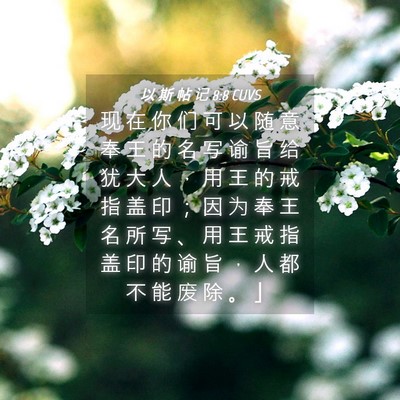 Picture 04 - 以 斯 帖 记 8:8 CUVS - 现 在 你 们 可 以 随 意 奉 王 的 名 - Bible Verse Picture