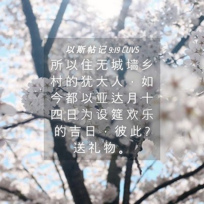 Picture 04 - 以 斯 帖 记 9:19 CUVS - 所 以 住 无 城 墙 乡 村 的 犹 大 人 - Bible Verse Picture