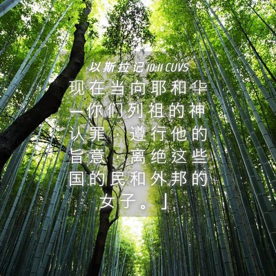 Picture 04 - 以 斯 拉 记 10:11 CUVS - 现 在 当 向 耶 和 华 ─ 你 们 列 祖 - Bible Verse Picture