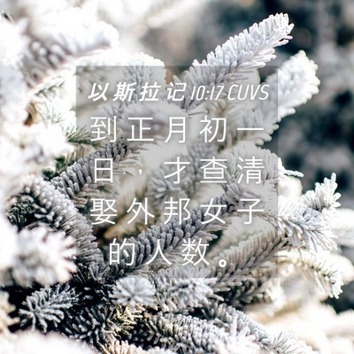 Picture 04 - 以 斯 拉 记 10:17 CUVS - 到 正 月 初 一 日 ， 才 查 清 娶 外 - Bible Verse Picture
