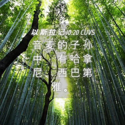 Picture 04 - 以 斯 拉 记 10:20 CUVS - 音 麦 的 子 孙 中 ， 有 哈 拿 尼 、 - Bible Verse Picture