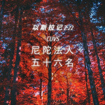 Picture 04 - 以 斯 拉 记 2:22 CUVS - 尼 陀 法 人 五 十 六 名 - Bible Verse Picture