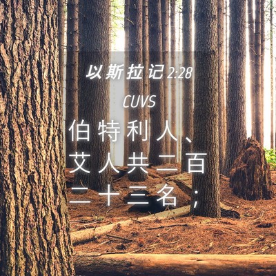 Picture 04 - 以 斯 拉 记 2:28 CUVS - 伯 特 利 人 、 艾 人 共 二 百 二 十 - Bible Verse Picture