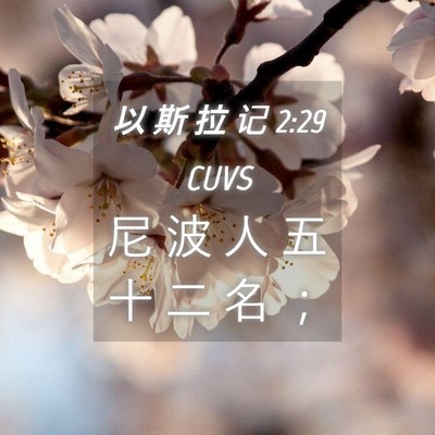 Picture 04 - 以 斯 拉 记 2:29 CUVS - 尼 波 人 五 十 二 名 - Bible Verse Picture