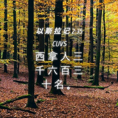 Picture 04 - 以 斯 拉 记 2:35 CUVS - 西 拿 人 三 千 六 百 三 十 名 - Bible Verse Picture