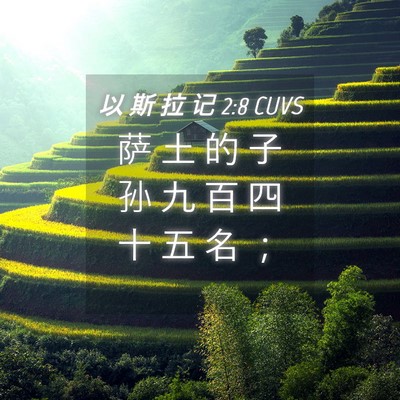 Picture 04 - 以 斯 拉 记 2:8 CUVS - 萨 土 的 子 孙 九 百 四 十 五 名 - Bible Verse Picture