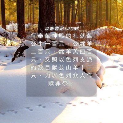 Picture 04 - 以 斯 拉 记 6:17 CUVS - 行 奉 献 神 殿 的 礼 就 献 公 牛 一 - Bible Verse Picture