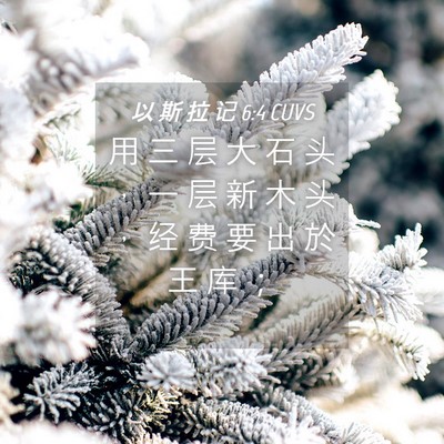 Picture 04 - 以 斯 拉 记 6:4 CUVS - 用 三 层 大 石 头 ， 一 层 新 木 头 - Bible Verse Picture