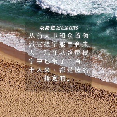 Picture 04 - 以 斯 拉 记 8:20 CUVS - 从 前 大 卫 和 众 首 领 派 尼 提 宁 - Bible Verse Picture