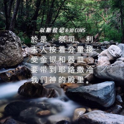 Picture 04 - 以 斯 拉 记 8:30 CUVS - 於 是 ， 祭 司 、 利 未 人 按 着 分 - Bible Verse Picture