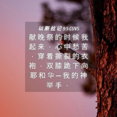 Picture 04 - 以 斯 拉 记 9:5 CUVS - 献 晚 祭 的 时 候 我 起 来 ， 心 中 - Bible Verse Picture