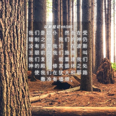 Picture 04 - 以 斯 拉 记 9:9 CUVS - 我 们 是 奴 仆 ， 然 而 在 受 辖 制 - Bible Verse Picture