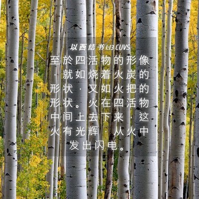 Picture 04 - 以 西 结 书 1:13 CUVS - 至 於 四 活 物 的 形 像 ， 就 如 烧 - Bible Verse Picture