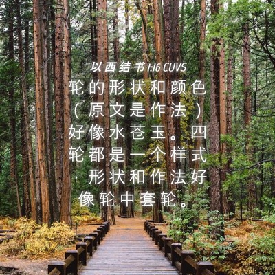 Picture 04 - 以 西 结 书 1:16 CUVS - 轮 的 形 状 和 颜 色 （ 原 文 是 作 - Bible Verse Picture