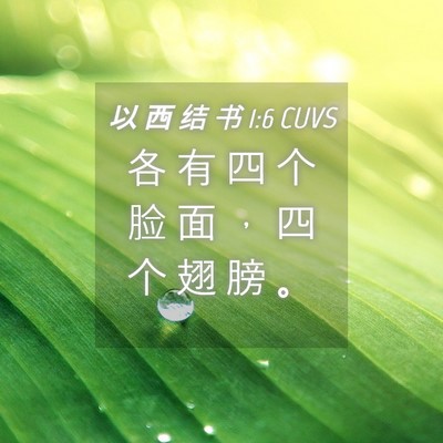 Picture 04 - 以 西 结 书 1:6 CUVS - 各 有 四 个 脸 面 ， 四 个 翅 膀 - Bible Verse Picture