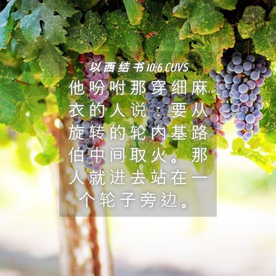Picture 04 - 以 西 结 书 10:6 CUVS - 他 吩 咐 那 穿 细 麻 衣 的 人 说 ： - Bible Verse Picture