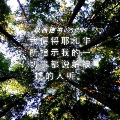 Picture 04 - 以 西 结 书 11:25 CUVS - 我 便 将 耶 和 华 所 指 示 我 的 一 - Bible Verse Picture