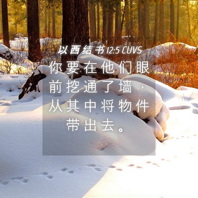 Picture 04 - 以 西 结 书 12:5 CUVS - 你 要 在 他 们 眼 前 挖 通 了 墙 ， - Bible Verse Picture