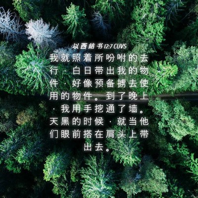 Picture 04 - 以 西 结 书 12:7 CUVS - 我 就 照 着 所 吩 咐 的 去 行 ， 白 - Bible Verse Picture