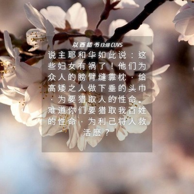 Picture 04 - 以 西 结 书 13:18 CUVS - 说 主 耶 和 华 如 此 说 ： 这 些 妇 - Bible Verse Picture