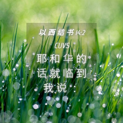 Picture 04 - 以 西 结 书 14:2 CUVS - 耶 和 华 的 话 就 临 到 我 说 - Bible Verse Picture