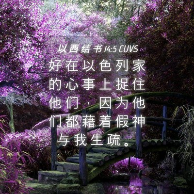 Picture 04 - 以 西 结 书 14:5 CUVS - 好 在 以 色 列 家 的 心 事 上 捉 住 - Bible Verse Picture