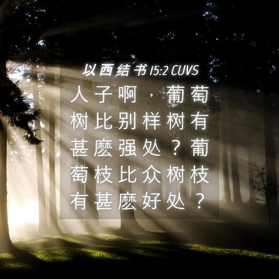 Picture 04 - 以 西 结 书 15:2 CUVS - 人 子 啊 ， 葡 萄 树 比 别 样 树 有 - Bible Verse Picture