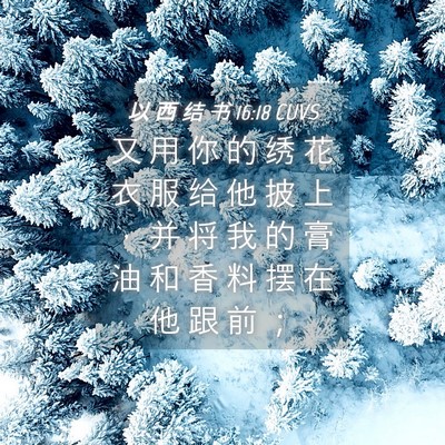 Picture 04 - 以 西 结 书 16:18 CUVS - 又 用 你 的 绣 花 衣 服 给 他 披 上 - Bible Verse Picture