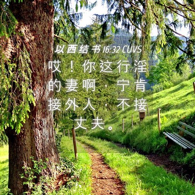 Picture 04 - 以 西 结 书 16:32 CUVS - 哎 ！ 你 这 行 淫 的 妻 啊 ， 宁 肯 - Bible Verse Picture