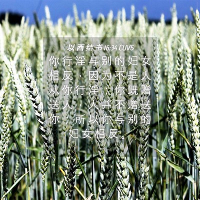 Picture 04 - 以 西 结 书 16:34 CUVS - 你 行 淫 与 别 的 妇 女 相 反 ， 因 - Bible Verse Picture