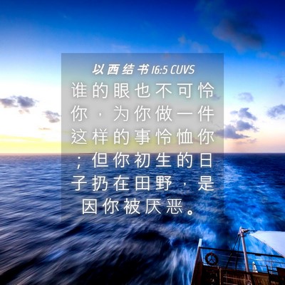 Picture 04 - 以 西 结 书 16:5 CUVS - 谁 的 眼 也 不 可 怜 你 ， 为 你 做 - Bible Verse Picture
