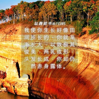 Picture 04 - 以 西 结 书 16:7 CUVS - 我 使 你 生 长 好 像 田 间 所 长 的 - Bible Verse Picture