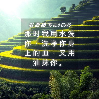 Picture 04 - 以 西 结 书 16:9 CUVS - 那 时 我 用 水 洗 你 ， 洗 净 你 身 - Bible Verse Picture