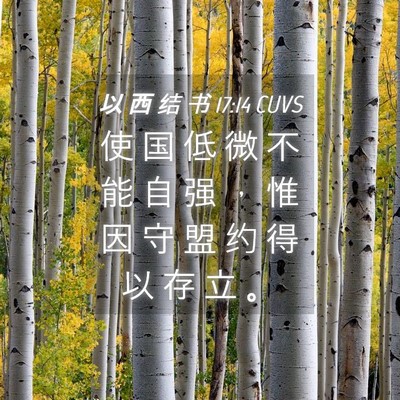 Picture 04 - 以 西 结 书 17:14 CUVS - 使 国 低 微 不 能 自 强 ， 惟 因 守 - Bible Verse Picture