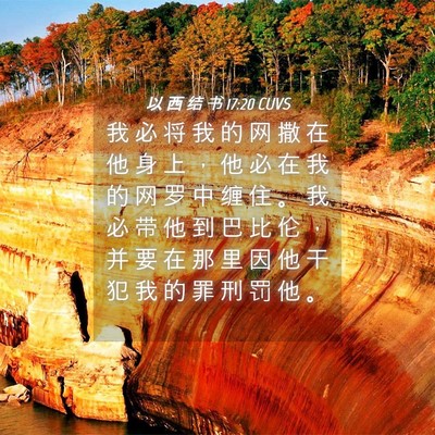 Picture 04 - 以 西 结 书 17:20 CUVS - 我 必 将 我 的 网 撒 在 他 身 上 ， - Bible Verse Picture