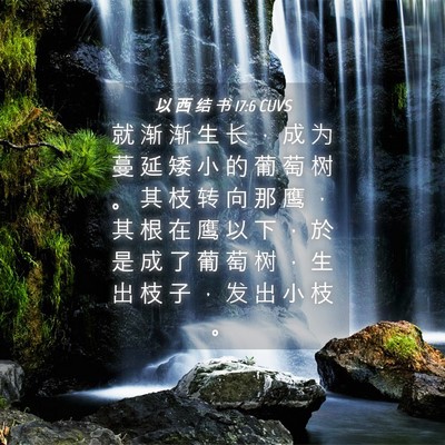 Picture 04 - 以 西 结 书 17:6 CUVS - 就 渐 渐 生 长 ， 成 为 蔓 延 矮 小 - Bible Verse Picture