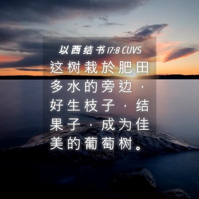 Picture 04 - 以 西 结 书 17:8 CUVS - 这 树 栽 於 肥 田 多 水 的 旁 边 ， - Bible Verse Picture
