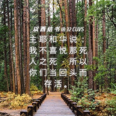 Picture 04 - 以 西 结 书 18:32 CUVS - 主 耶 和 华 说 ： 我 不 喜 悦 那 死 - Bible Verse Picture